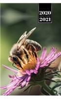 Bee Insects Beekeeping Beekeeper Week Planner Weekly Organizer Calendar 2020 / 2021 - Purple Flower