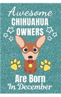 Awesome Chihuahua Owners Are Born In December