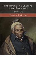 Negro in Colonial New England