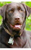 2020 Weekly Planner Dog Puppy Retriever Chocolate Lab 134 Pages: 2020 Planners Calendars Organizers Datebooks Appointment Books Agendas