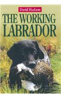 The Working Labrador