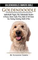 Goldendoodle