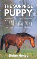 The Surprise Puppy and the Connemara Pony - The Coral Cove Horses Series: (3 Coral Cove Horse Adventures for Girls and Boys)