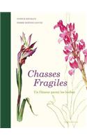 Chasses Fragiles
