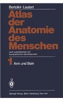 Atlas der Anatomie des Menschen