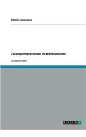 Zwangsmigrationen in Weißrussland: (German)