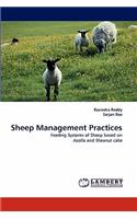Sheep Management Practices: (English)