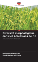 Diversité morphologique dans les accessions de riz