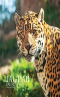 Jaguar Calendar 2021: 16 Month Calendar