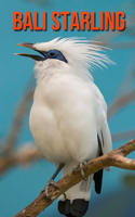 Bali Starling: Amazing Facts about Bali Starling