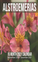 Alstroemerias 16 Month 2021 Calendar September 2020-December 2021