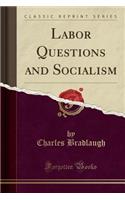 Labor Questions and Socialism (Classic Reprint)