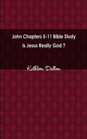 John Chapters 5-11 Bible Study Is Jesus Really God?