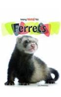 Ferrets