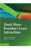 Shock Wave-Boundary-Layer Interactions