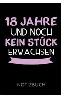 18 Jahre Notizbuch