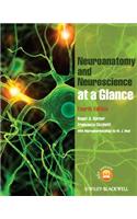 Neuroanatomy and Neuroscience at a Glance