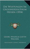 Wustungen Im Grossherzogthum Hessen (1854)
