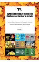 Tyrolean Hound 20 Milestone Challenges: Outdoor & Activity Tyrolean Hound Milestones for Memorable Moments, Outdoor Fun, Socialization, Agility, Training Volume 3