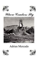 Where Condors Fly