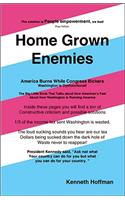 Home Grown Enemies: America Burns While Congress Bickers