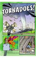 First Graphics Wild Earth Tornadoes
