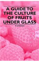 Guide to the Culture of Fruits Under Glass