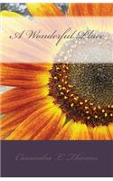 A Wonderful Place: (English)