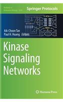 Kinase Signaling Networks