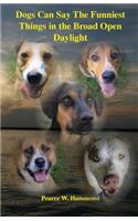 Dogs Can Say The Funniest Things in the Broad Open Daylight