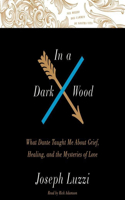 In a Dark Wood Lib/E: What Dante Taught Me about Grief, Healing, and the Mysteries of Love