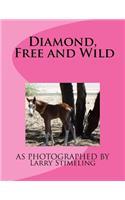 Diamond, Free and Wild