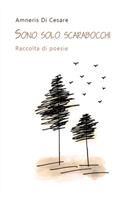 Sono Solo Scarabocchi