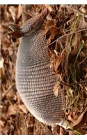 An Armadillo in Texas Journal: 150 Page Lined Notebook/Diary