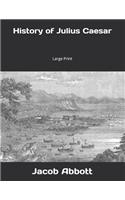 History of Julius Caesar: Large Print
