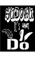 Sudoku It's What I Do: An ideal way to help keep the brains of both young and old active and alert while also being fun to play