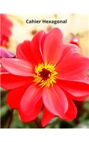 Cahier Hexagonal: 150 pages pour prendre vos notes de chimie organique, biochimie (étudiants, professeurs et professionnels)