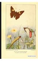 Butterfly Print Journal
