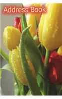 Address Book: Yellow Lily, The perfect book in whicTh to record addresses and noteworthy details! Address, Home Phone, Cell Phone, Date of Birth, Email, Work Phon(9 Yellow Lily, the Perfect Book in Which to Record Addresses and Noteworthy Details! Address, Home Pho)