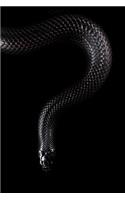 Snake Notebook