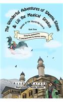 Exploring Afghanistan: A Land Destroyed by Violence and Evil(3 Wonderful Adventures of Sheena, Shawn and Lili the Magical D)
