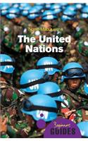 The United Nations: A Beginner's Guide