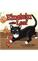 Einstein and the Leaf