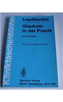 Glaukom in Der Praxis: Ein Leitfaden
