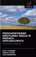 Przechowywanie Dwutlenku W&#280;gla W Mediach Geologicznych