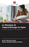 Le Mexique et l'apprentissage en ligne