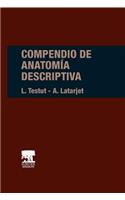 Compendio de Anatomia Descriptiva: 0