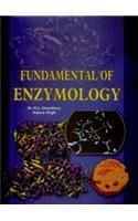 Fundamentals of Enzymology
