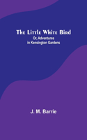 Little White Bird; Or, Adventures in Kensington Gardens