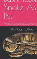 Bushmaster Snake As Pet